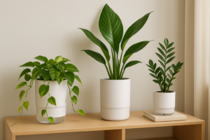 Vasos autoirrigáveis na decoração: práticas e cuidados